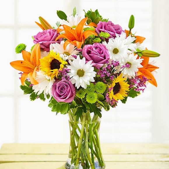 Meet your Posher, Alain - Picture 1 of 1